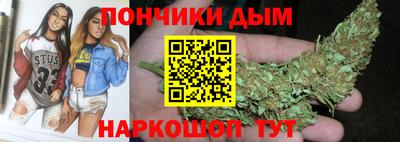 гашик Можга