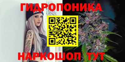 гидра Малгобек
