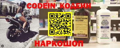 гашик Можга