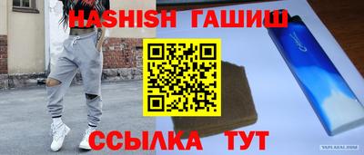 гашик Можга