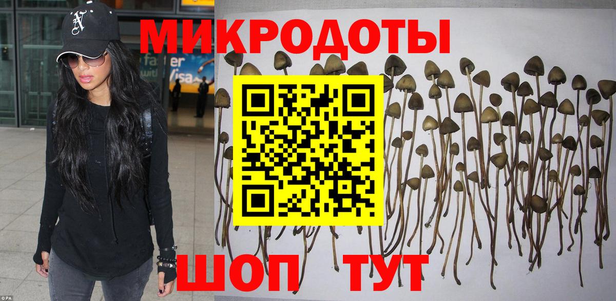 Псилоцибиновые грибы Magic Shrooms Чайковский