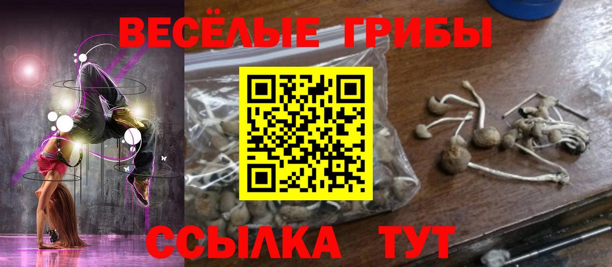 дарнет шоп  Галлюциногенные грибы Magic Shrooms  Вход с VPN  Чайковский 