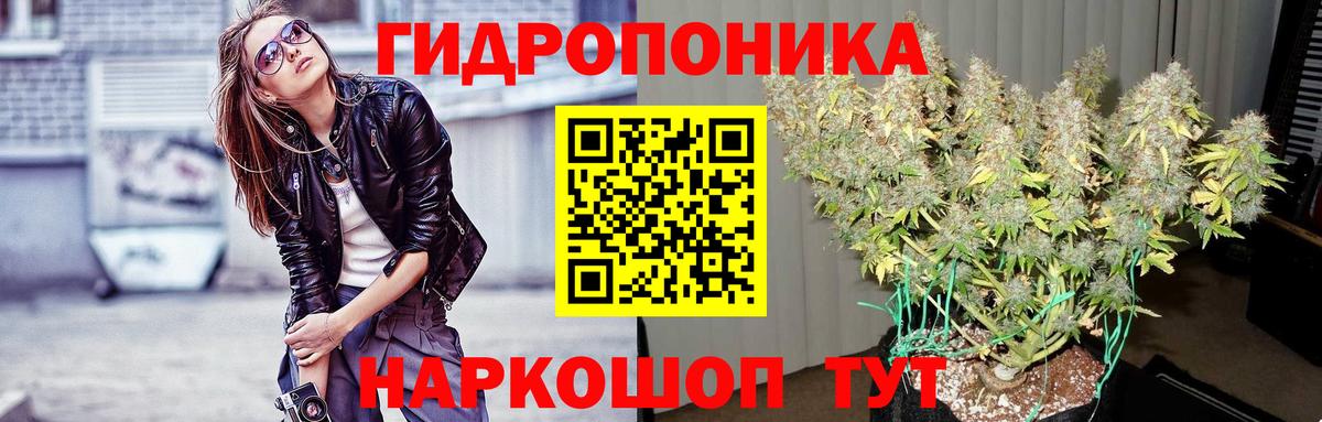 Канабис индика  Вход с VPN  Шишки марихуана AK-47  Чайковский 